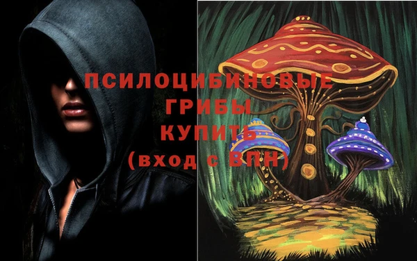 прущие крисы Краснотурьинск