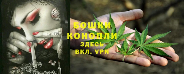 спайс Краснослободск