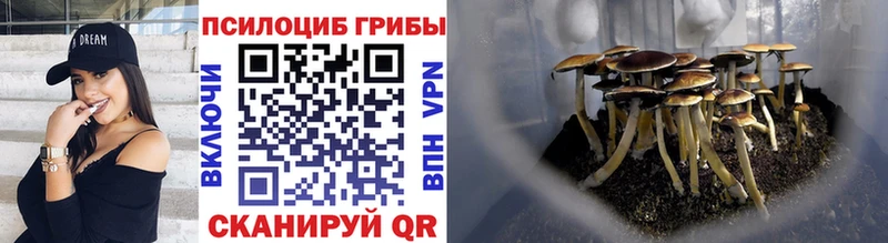 Купить  Одинцово  Псилоцибиновые грибы прущие грибы 